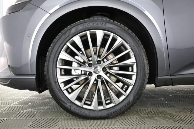 LEXUS RX 450h usata 9