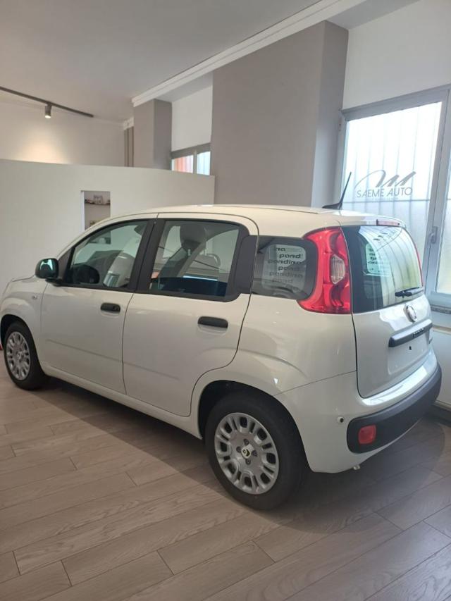 FIAT Pandina usata, con Cerchi in lega