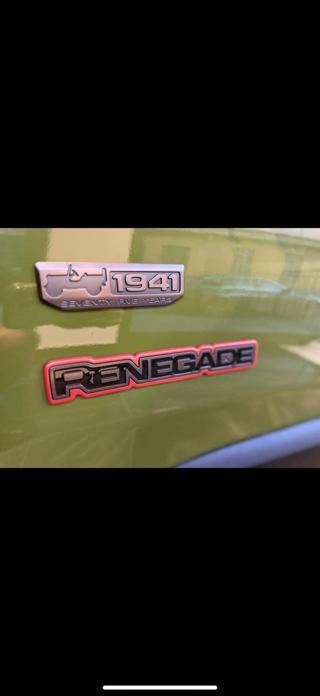 JEEP Renegade usata, con Climatizzatore