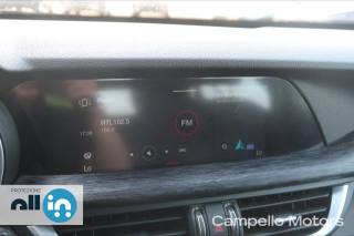 ALFA ROMEO Stelvio usata 8