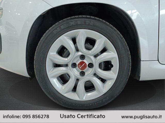 FIAT Panda usata 13