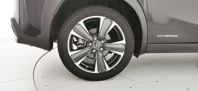 LEXUS UX 250h usata, con Sedili riscaldati