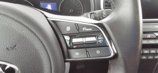 KIA Sportage usata 58
