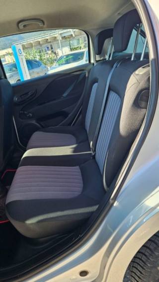 FIAT Punto usata 12