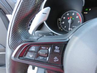 ALFA ROMEO Stelvio usata, con Cronologia tagliandi