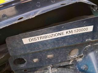 FIAT Punto usata 25