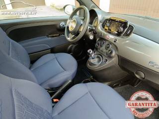 FIAT 500 usata 66