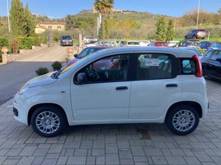 FIAT Panda usata, con Airbag