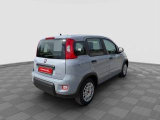 FIAT Panda usata 4