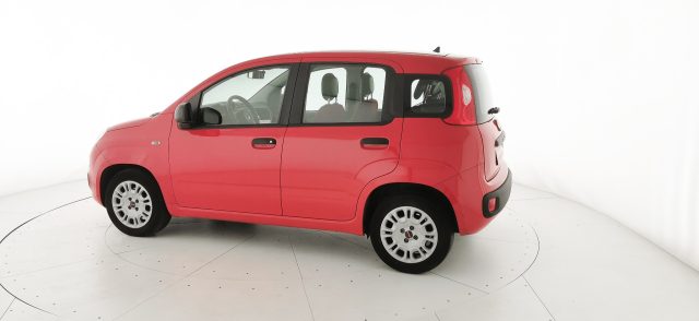 FIAT Panda usata 29