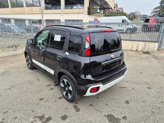 FIAT Pandina usata, con Cerchi in lega