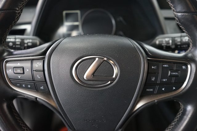 LEXUS UX 250h usata 31