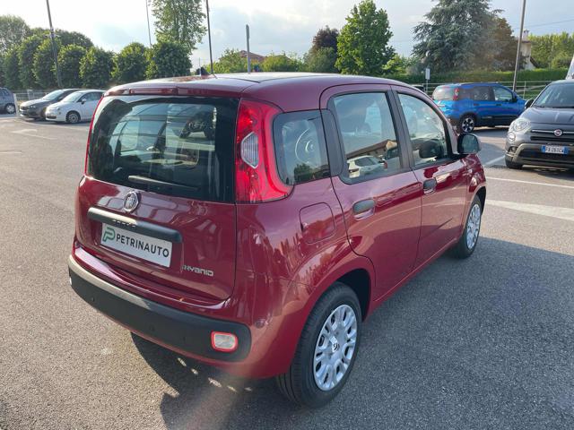 FIAT Panda usata, con Antifurto