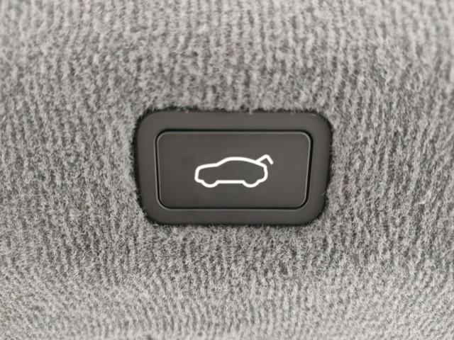 LOTUS Emeya usata, con Airbag posteriore