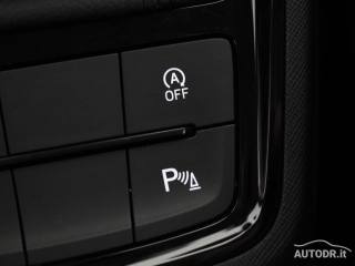 SKODA Kamiq usata, con Luci diurne