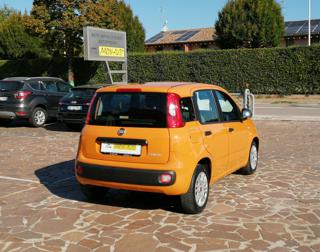 FIAT Panda usata, con Alzacristalli elettrici
