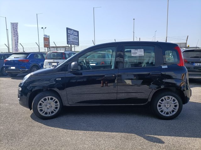 FIAT Panda usata, con Antifurto