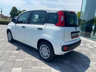 FIAT Panda usata, con Chiusura centralizzata