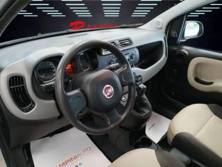 FIAT Panda usata 14