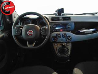 FIAT Panda usata, con Fendinebbia