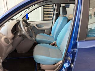 FIAT Panda usata, con Fendinebbia