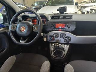 FIAT Panda usata, con Volante multifunzione