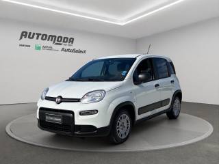 FIAT Panda 1.0 VAN AUTOCARRO 4POSTI