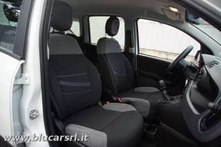 FIAT Panda usata, con Servosterzo