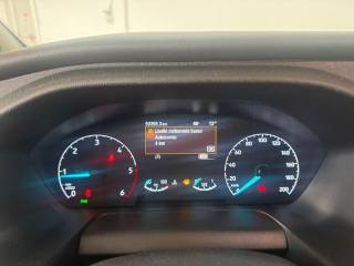 FORD Tourneo Custom usata, con USB