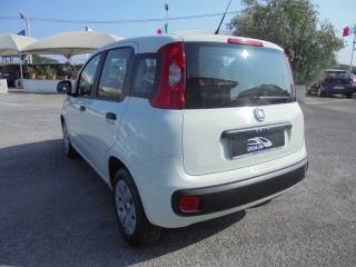 FIAT Panda usata 8