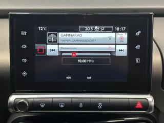 CITROEN C4 Cactus usata, con Cronologia tagliandi