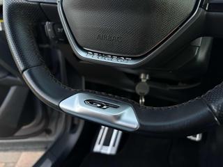 PEUGEOT 3008 usata, con Servosterzo