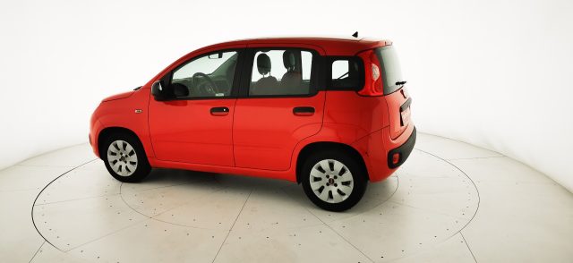 FIAT Panda usata 29