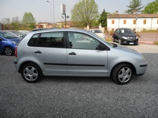 VOLKSWAGEN Polo usata 64