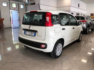 FIAT Panda usata, con Airbag laterali