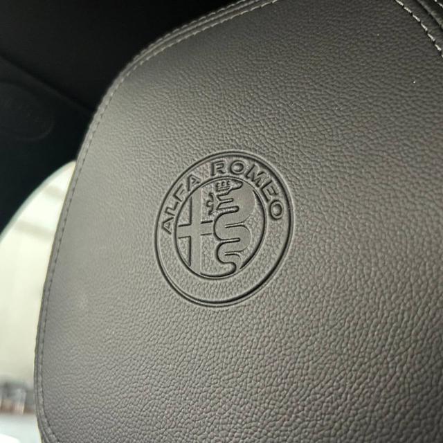 ALFA ROMEO Stelvio usata, con Cronologia tagliandi