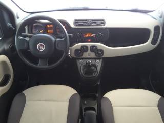 FIAT Panda usata, con Controllo trazione