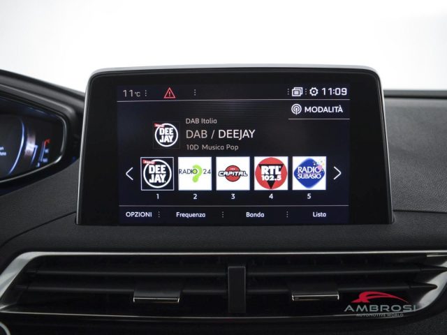 PEUGEOT 3008 usata 13
