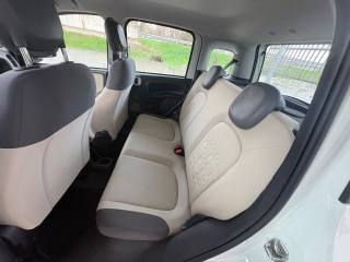 FIAT Panda usata, con Cronologia tagliandi