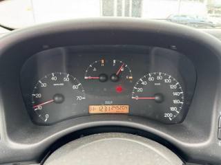FIAT Punto usata 14