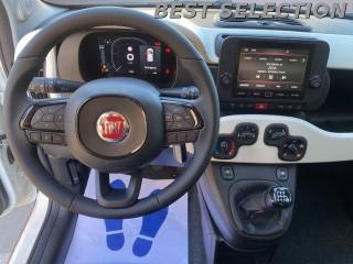 FIAT Panda usata, con Antifurto