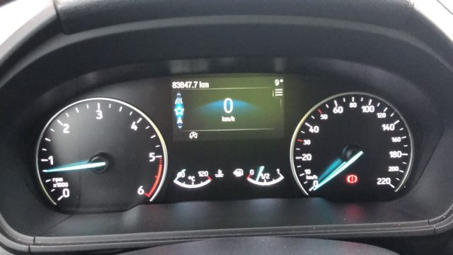 FORD EcoSport usata, con Airbag testa