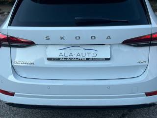 SKODA Octavia usata, con Antifurto