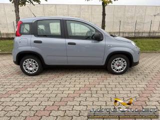 FIAT Panda usata, con Autoradio