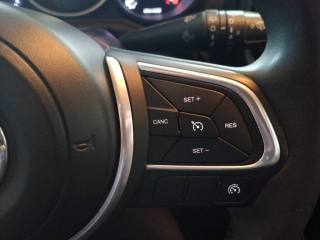 FIAT 500L usata, con Cruise Control