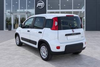 FIAT Panda usata, con Antifurto
