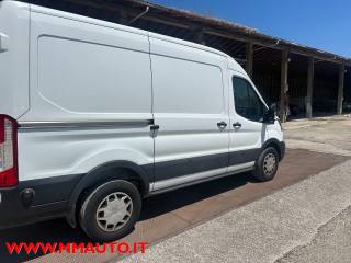 FORD Transit usata, con Fendinebbia