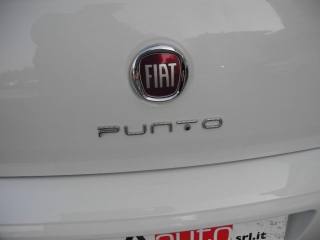FIAT Punto usata 50