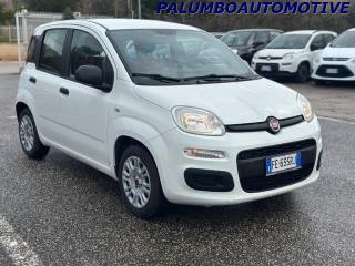 FIAT Panda usata, con Airbag Passeggero