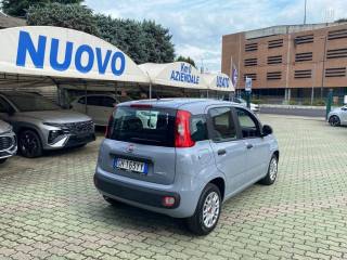 FIAT Panda usata, con Antifurto